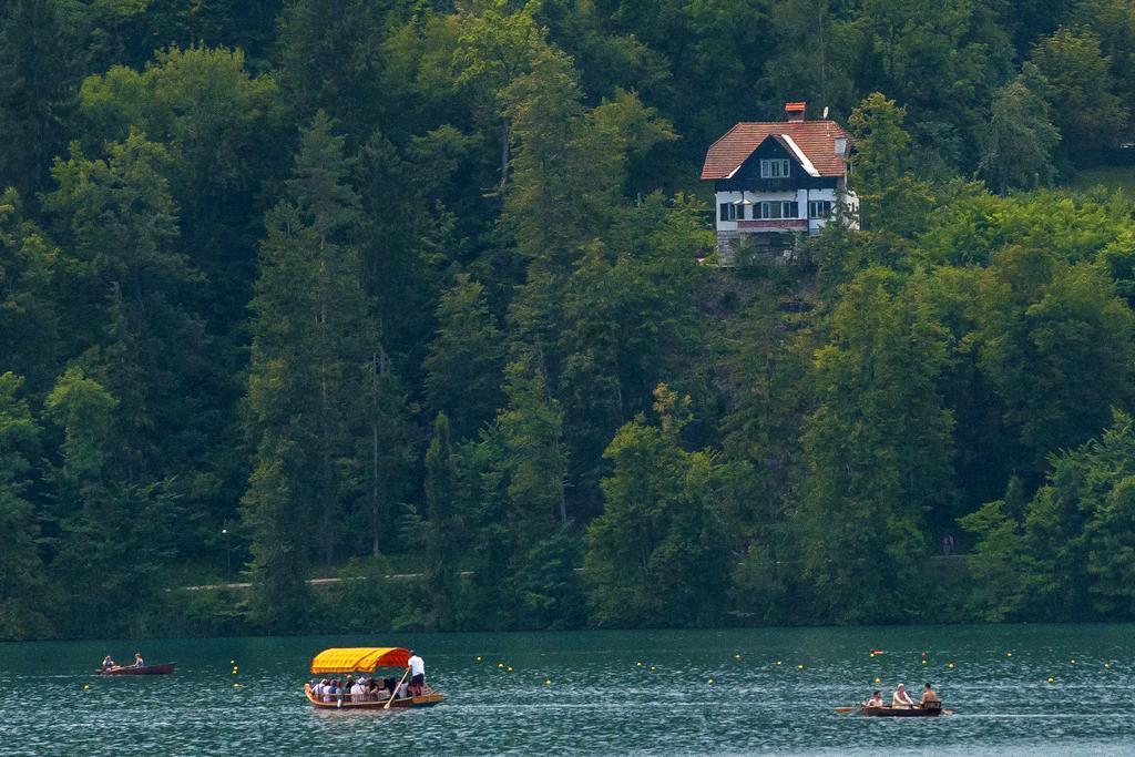 Villa Sovica Bled Exterior foto